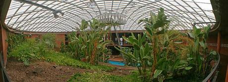 Mis vistas desde el Observatorio de Paranal