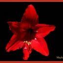 Nuevo Reto 10x10: 'Los horrores del Escalpelo'