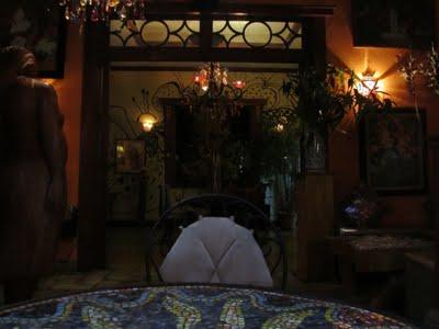 COSTA RICA SALVAJE ¡PURA VIDA! Primera parte.