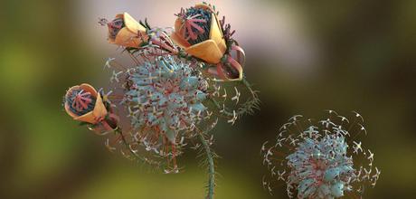 Vinicius Costa – 3D