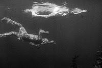 Cinecritica: El Monstruo de la Laguna Negra