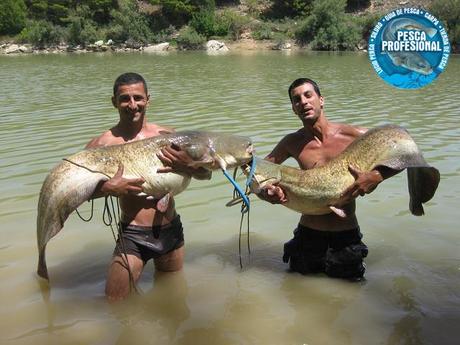 VACACIONES DE PESCA DEL SILURO