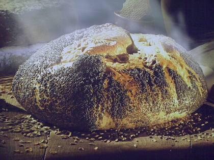 05102009475 Historia del pan