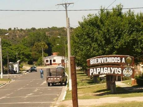 'Muñecas de palmeras Caranday'