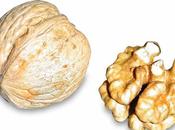Nueces contra Alzheimer