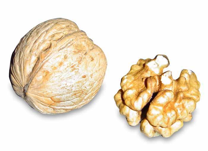 Nueces contra el Alzheimer