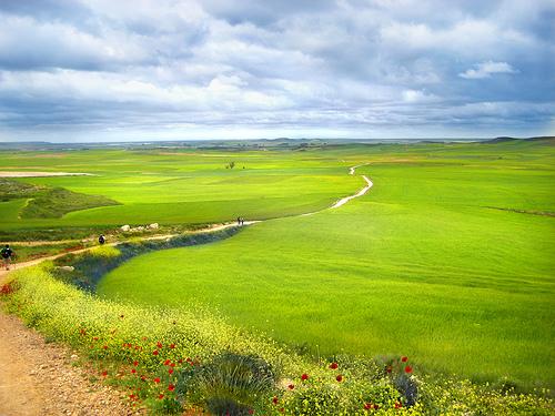 Cuando exhausto de tanto caminar el peregrino se relaja, ...