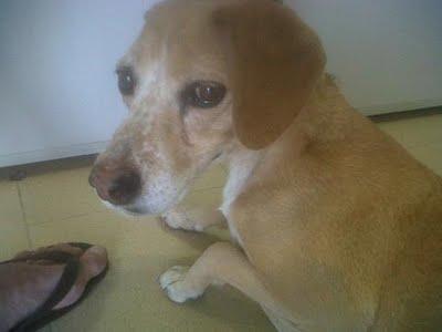 DULCE, abuelita arrastrada hasta el corredor de la muerte.