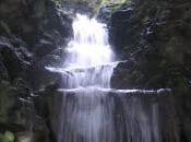 Derecho Humano Francia: Hermanas pueden beneficiarse doble afiliación GODF