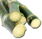 Beneficios de la caña de azúcar