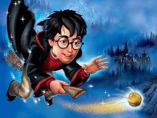 Mi vida junto a Harry Potter