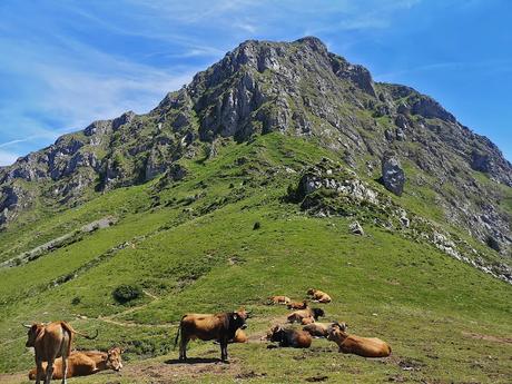Carria desde Collada Llomena Carria desde Collada Llomena