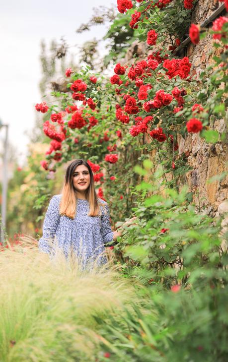 Un paseo entre flores Un paseo entre flores