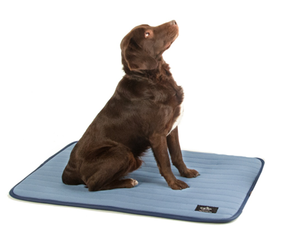 OnlineValles ha desarrollado la web de www.masakata.com