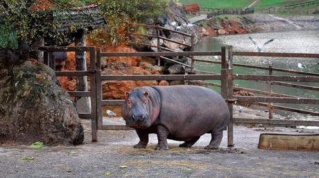 El presidente Revilla regala entradas para el Parque de Cabárceno