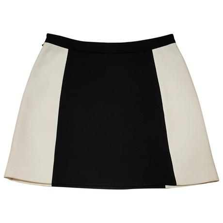 Falda Skirt Zara