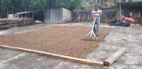 EthicHub comercializará el café de sus agricultores