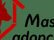 Mascotasadopcion.com, todo necesita saber para adoptar nueva mascota