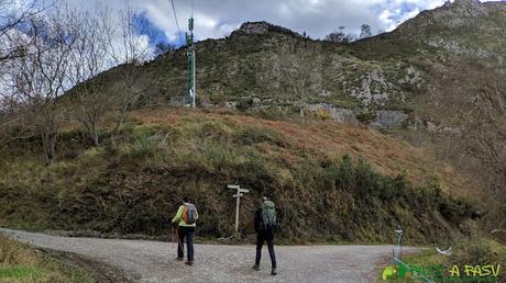 Bifurcación en la Ruta del Bosque de Cea