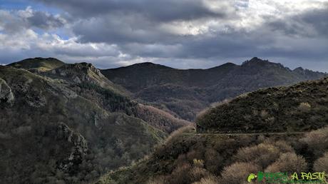Camino por la ruta del Bosque de Cea