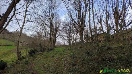 Subiendo hacia Bornéu