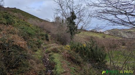 Sendero que nos llevará hasta Bon