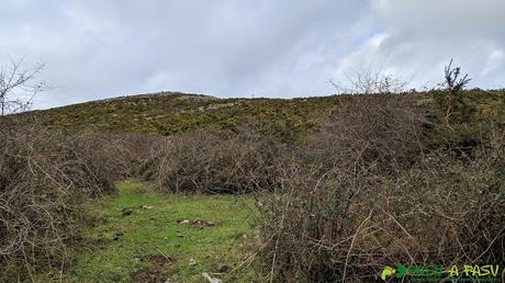 Tramo intermedio de la subida al Alto Llerandi