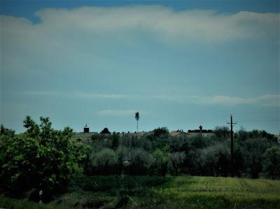 Reminiscencia del Beltane en los Mayos