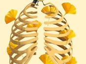 Reseña: Actos humanos, Kang