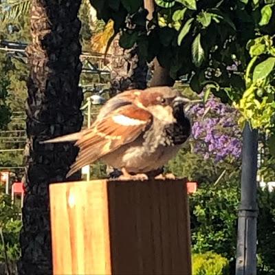 Viernes y de compras!! Viernes y de compras!!