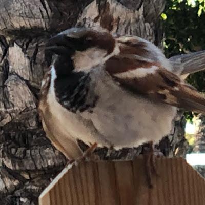 Viernes y de compras!! Viernes y de compras!!