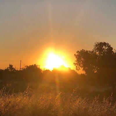 Viernes y de compras!! Viernes y de compras!!