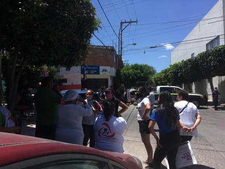 Animalistas exigen reglamento de protección animal al Ayuntamiento