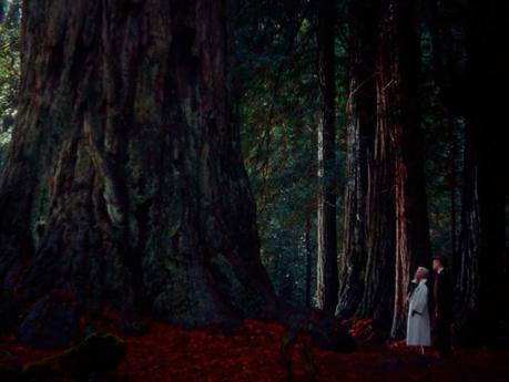 El cine profético de '12 Monos' y la lucidez de un Brad Pitt demente El cine profético de '12 Monos' y la lucidez de un Brad Pitt demente