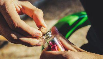 Dominio Fournier Crianza 2016