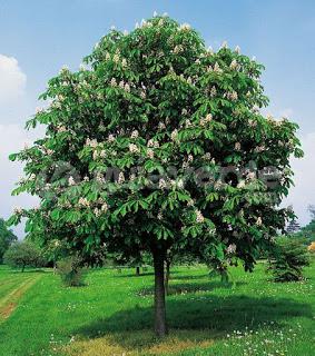 4.223 - NO LO ESPERABA...