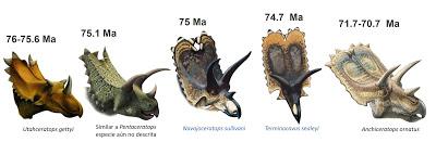 Nuevas especies de ceratópsidos