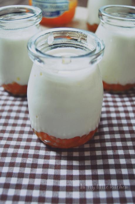 Yogures caseros con melocotón con Degustabox