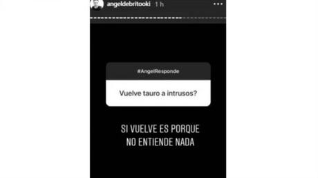 Ángel de Brito y la posible vuelta de Tauro a Intrusos