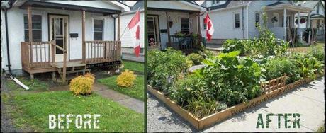 5 razones para quitar el césped y hacer un huerto 5 razones para quitar el césped y hacer un huerto