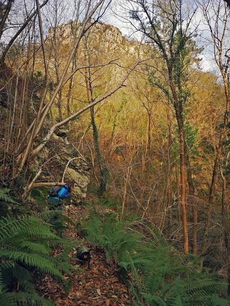 Cascadas de Buanga y Pico Castiello Cascadas de Buanga y Pico Castiello