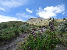 Faldas Del Volcan Iztaccihuatl