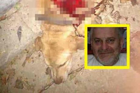 Sacerdote de Coxcatlán macheteo a perro y terminó con su vida