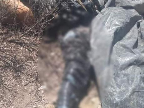Localizan dos cuerpos en bolsas en comunidad de Matehuala