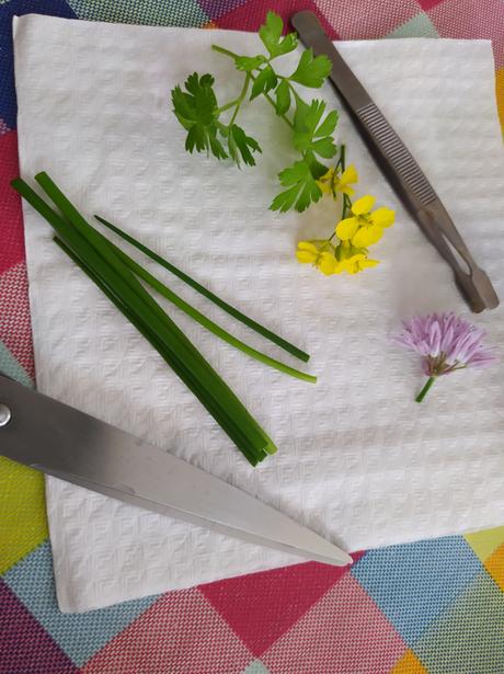 Tarka dal: las mejores lentejas del mundo. Receta India