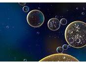 Logran gran avance para revertir enfermedades autoinmunes