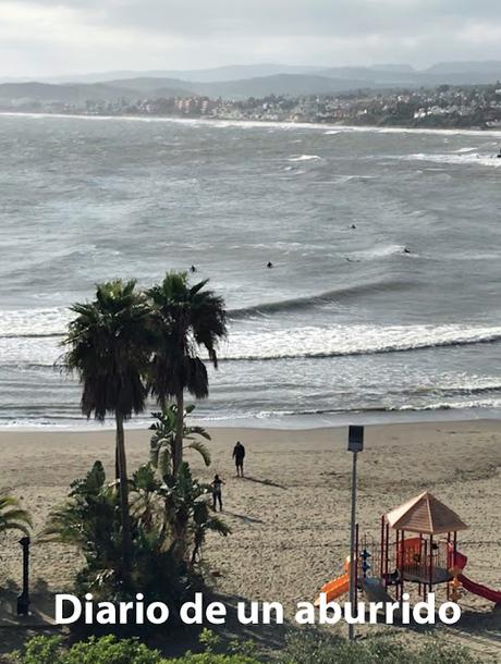 Loba negra de Juan Gómez-Jurado Loba negra de Juan Gómez-Jurado