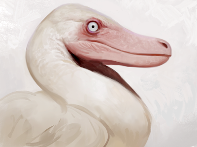 Evolución del tamaño cerebral en Aves (y dinosaurios no avianos)