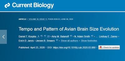 Evolución del tamaño cerebral en Aves (y dinosaurios no avianos)