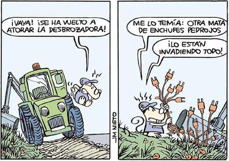 [SONRÍA, POR FAVOR] Es miércoles, 10 de junio